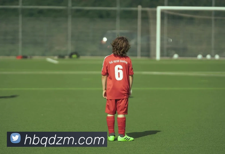 芒果体育APP 封面图